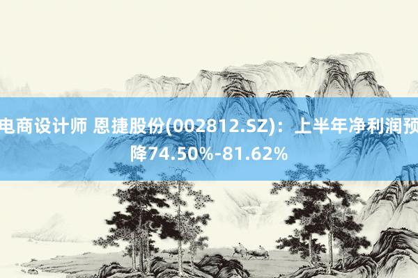 电商设计师 恩捷股份(002812.SZ)：上半年净利润预降74.50%-81.62%