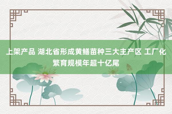 上架产品 湖北省形成黄鳝苗种三大主产区 工厂化繁育规模年超十亿尾