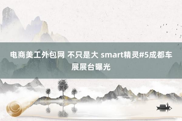 电商美工外包网 不只是大 smart精灵#5成都车展展台曝光