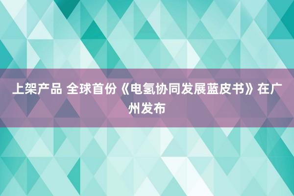 上架产品 全球首份《电氢协同发展蓝皮书》在广州发布