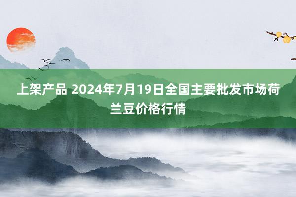 上架产品 2024年7月19日全国主要批发市场荷兰豆价格行情