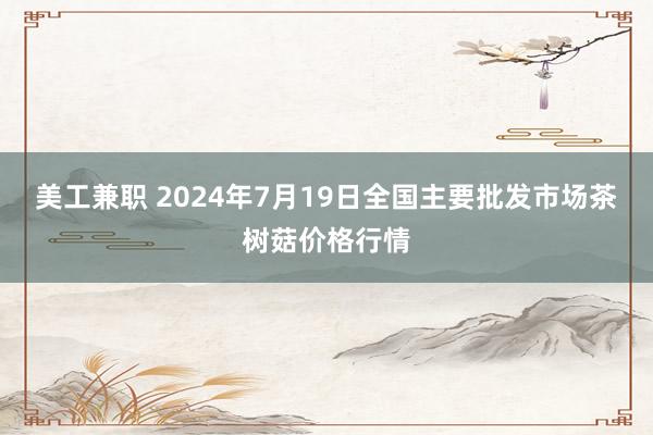 美工兼职 2024年7月19日全国主要批发市场茶树菇价格行情